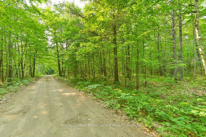 1971 Gull Lake Estates Lane  North Frontenac, K0H 1B0 | Image 30