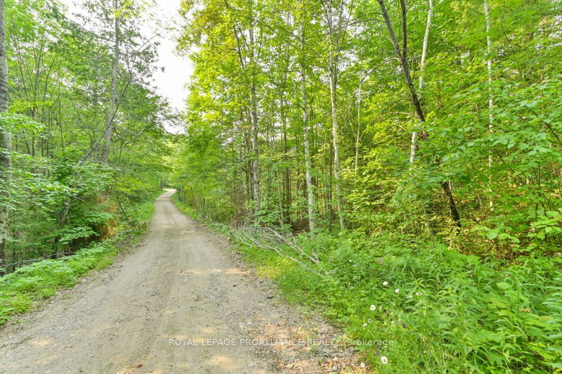 1971 Gull Lake Estates Lane  North Frontenac, K0H 1B0 | Image 32