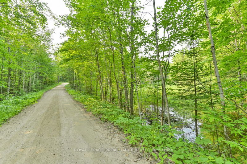 1971 Gull Lake Estates Lane  North Frontenac, K0H 1B0 | Image 33