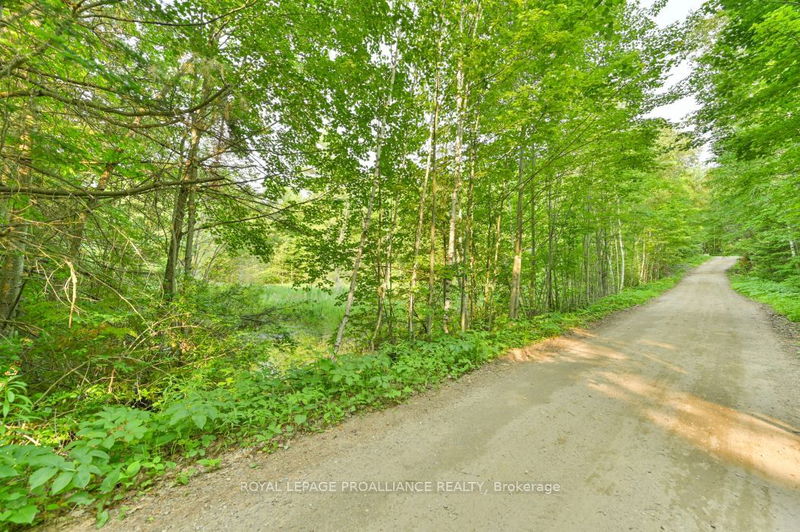 1971 Gull Lake Estates Lane  North Frontenac, K0H 1B0 | Image 34