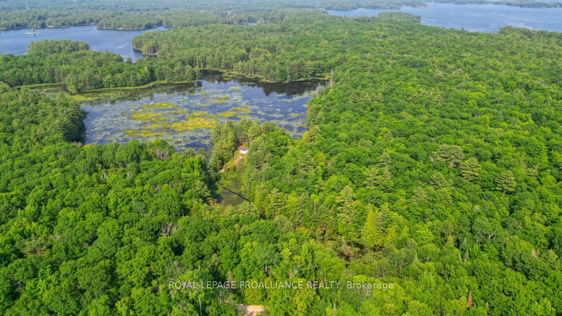 1971 Gull Lake Estates Lane  North Frontenac, K0H 1B0 | Image 37