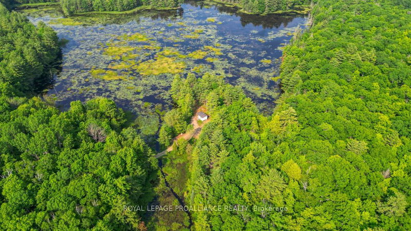 1971 Gull Lake Estates Lane  North Frontenac, K0H 1B0 | Image 39