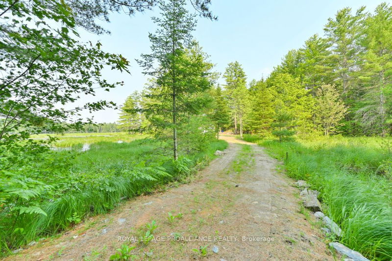 1971 Gull Lake Estates Lane  North Frontenac, K0H 1B0 | Image 5