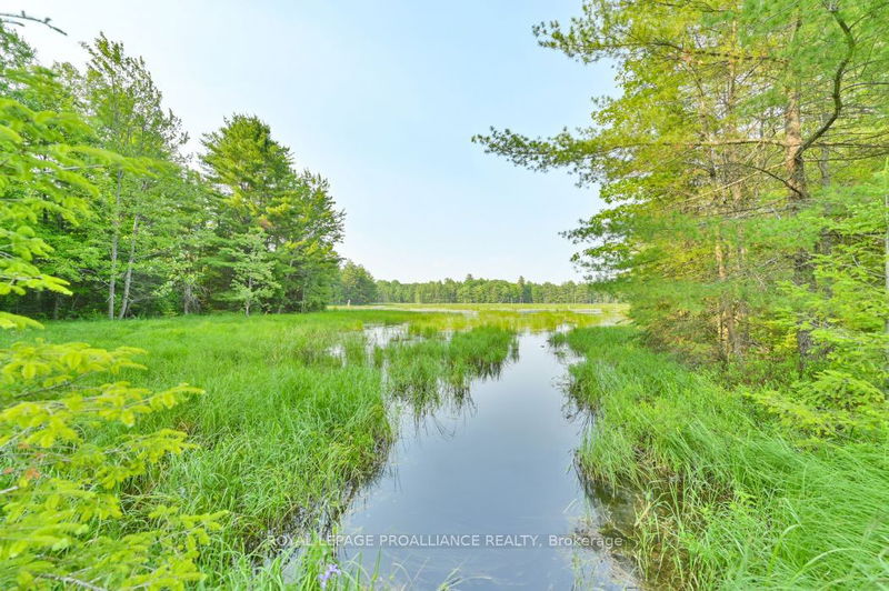 1971 Gull Lake Estates Lane  North Frontenac, K0H 1B0 | Image 6