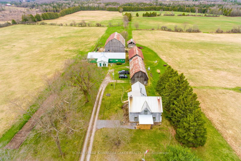 107 Coshs Rd, Kawartha Lakes - Rural Verulam image-0-0
