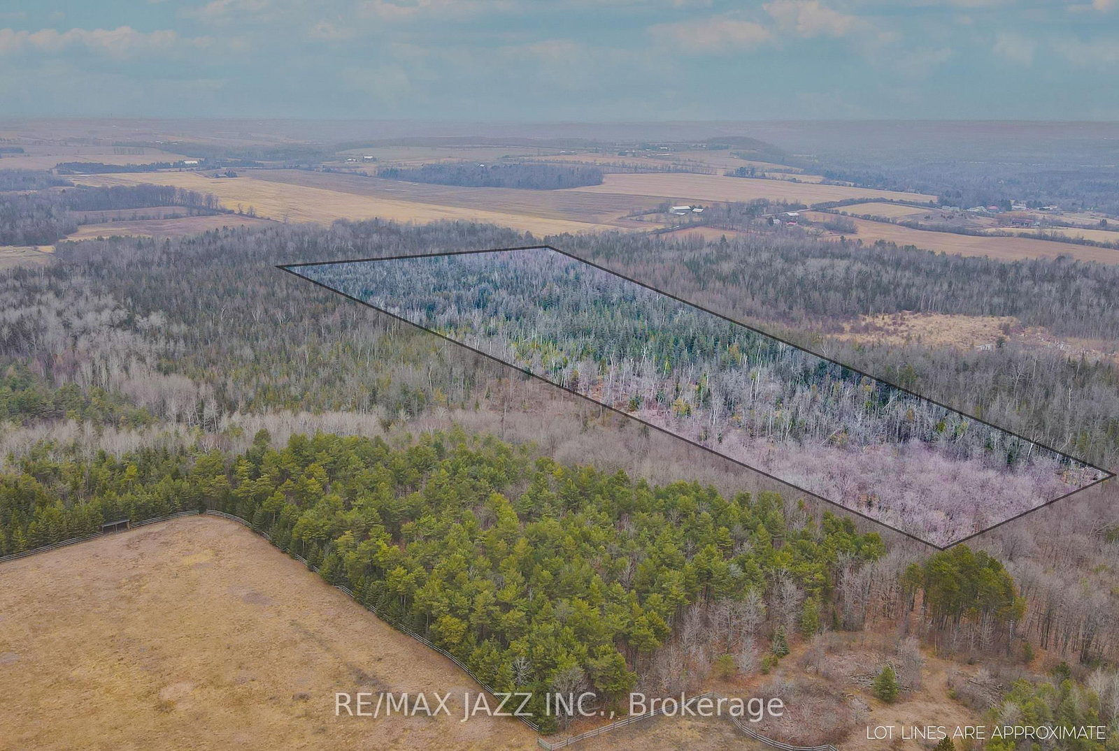 Listing Image 7