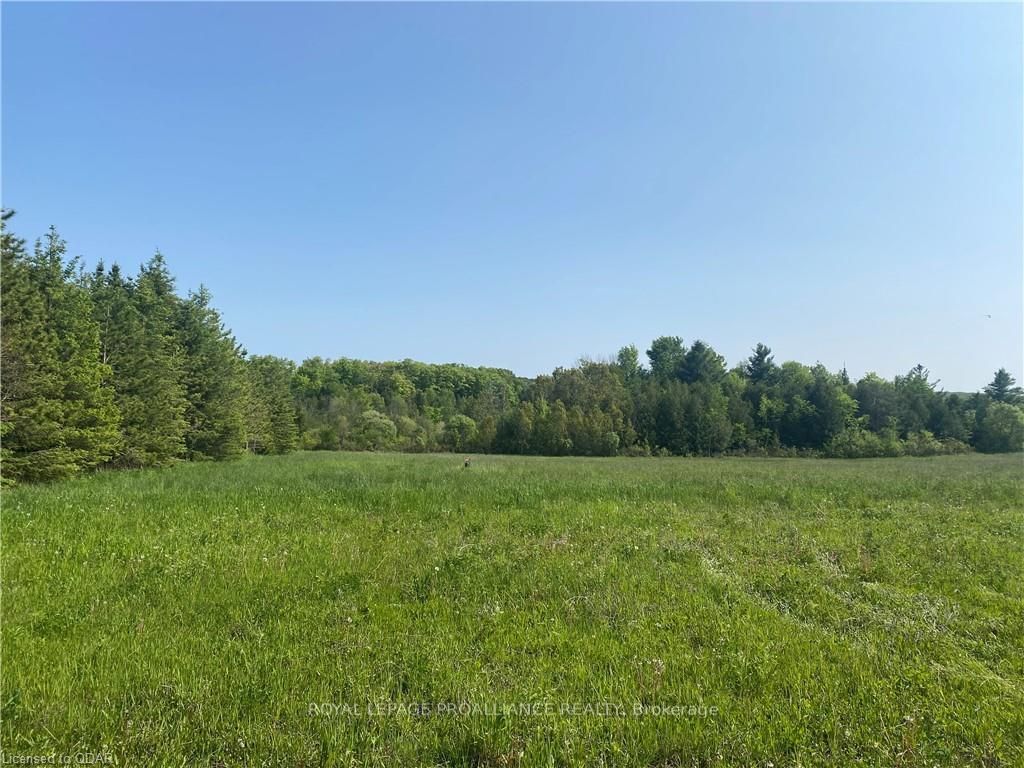 Vacant Land sold at Pt Lt 18 County Rd 29, Alnwick/Haldimand, Rural Alnwick/Haldimand, K0K 2X0 - MLS: X8261434