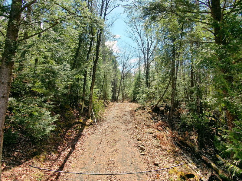 home for sale on 0 Coe Island Lake Road