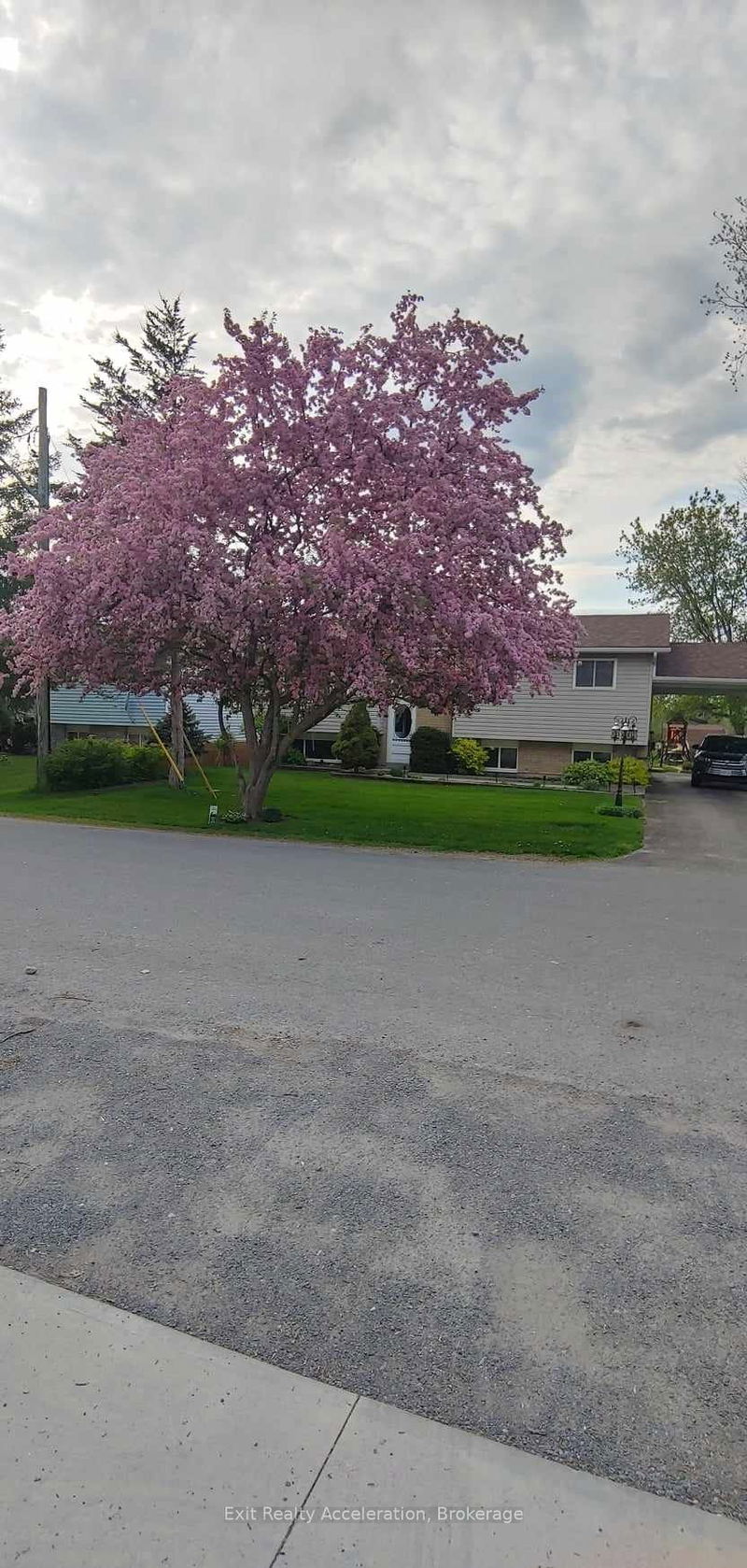 home for sale on 253 Cross Street