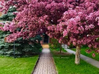 210 McDonnel St, Peterborough, K9H 2V9 | Image 3