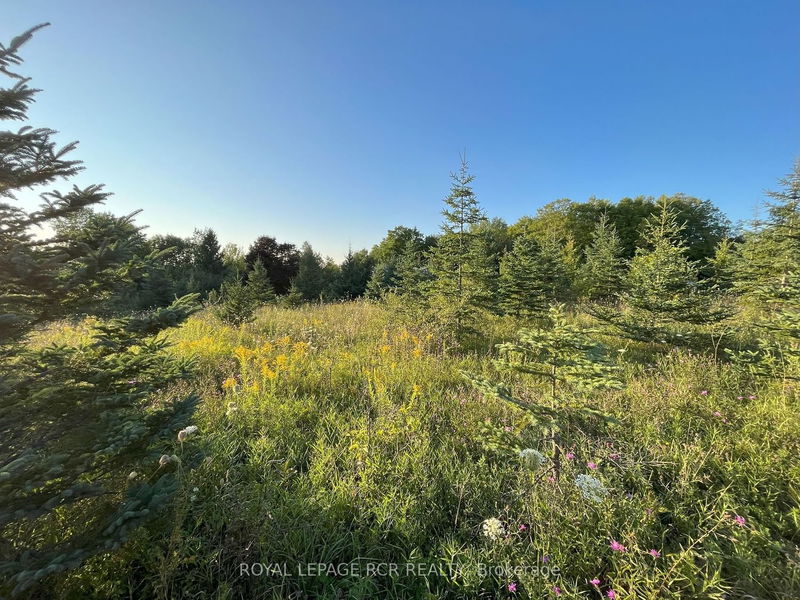 home for sale on 395807 Concession 2 Road