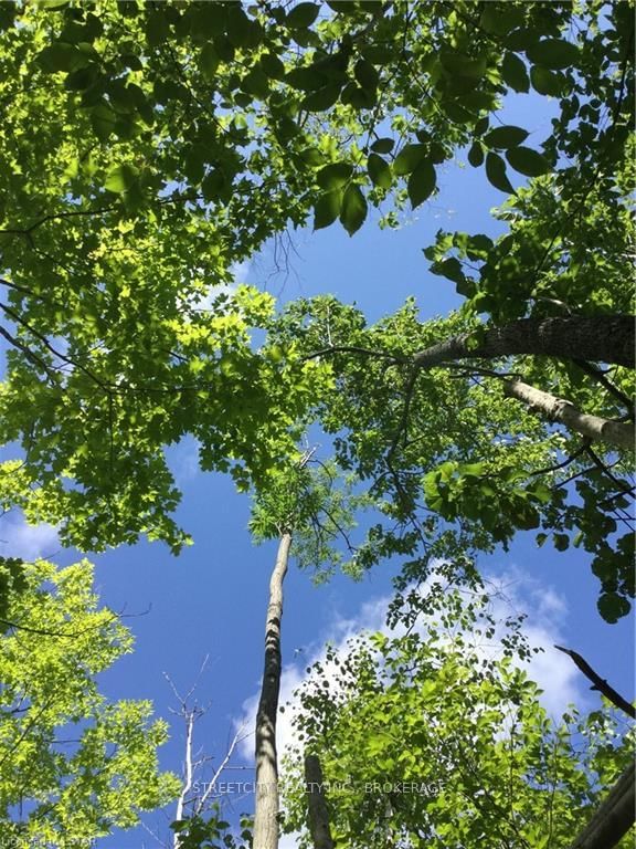 home for sale on 0 PATH