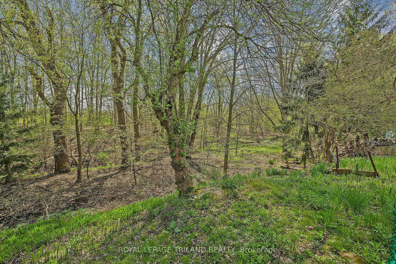 Listing Image 35