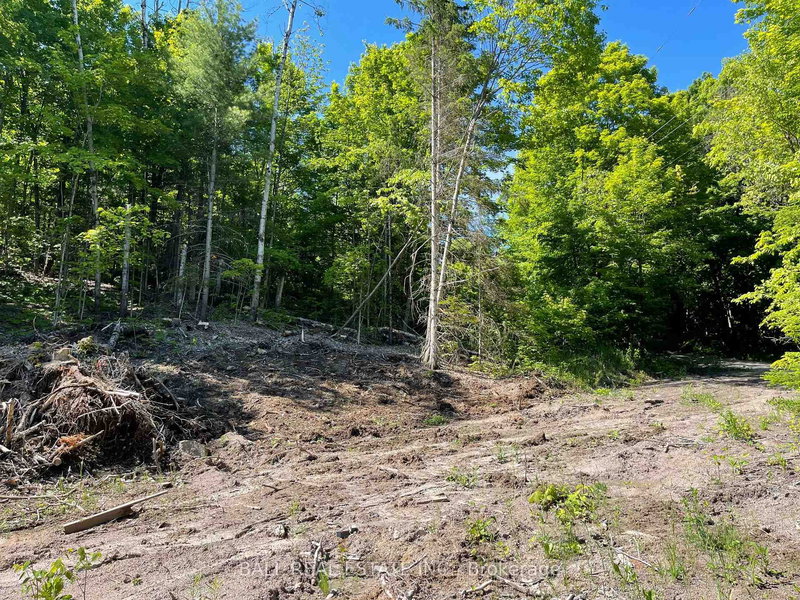 314 Airport Rd, Bancroft, K0L 1C0 | Image 2