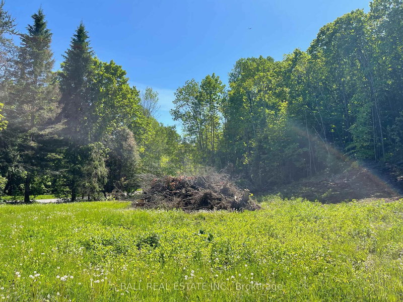 314 Airport Rd, Bancroft, K0L 1C0 | Image 3