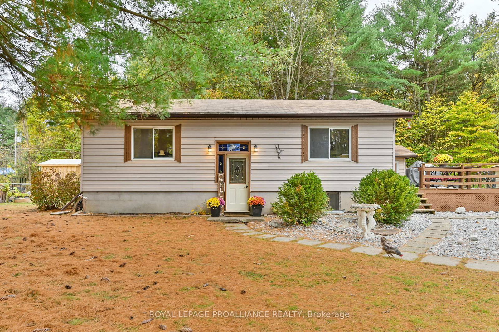 Listing Image 5