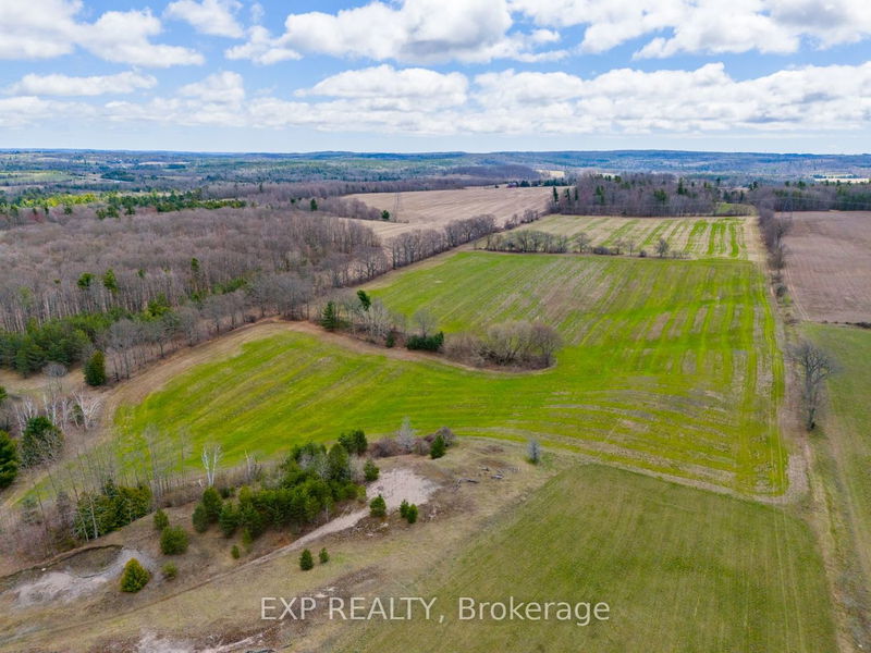 PT Lot 14 Con 9 Fanning Rd  Alnwick/Haldimand, K0K 2X0 | Image 8