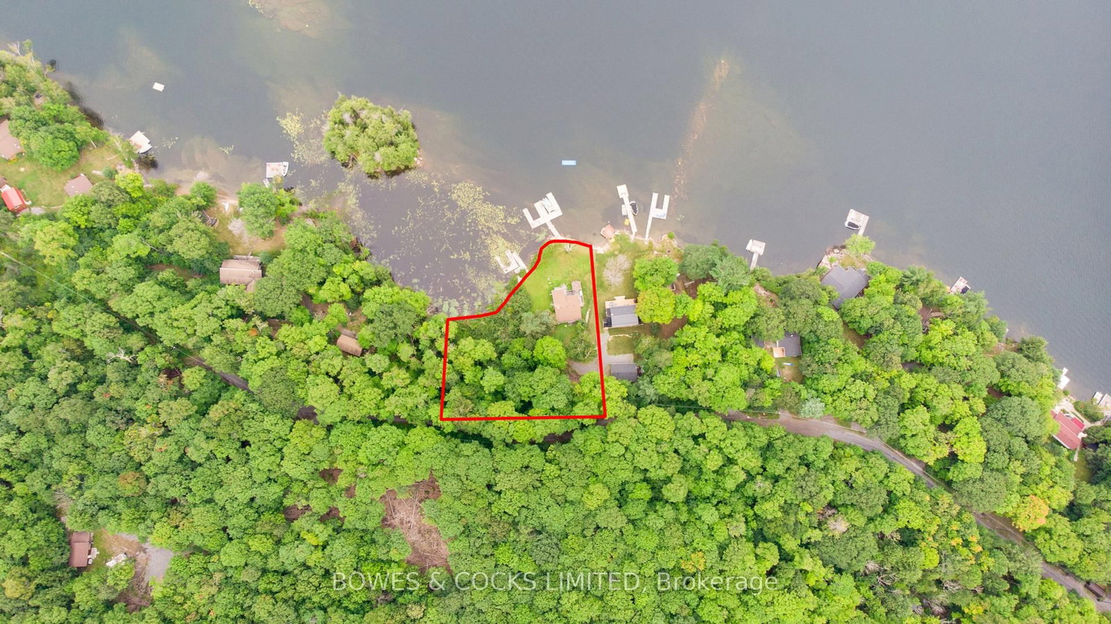 Listing Image 5