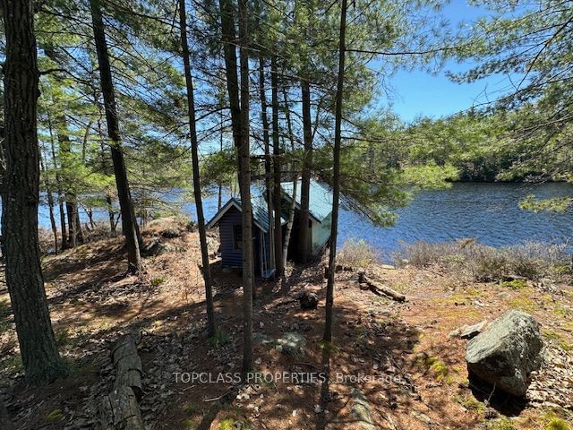 1 Island • Gravenhurst, ON photo 20