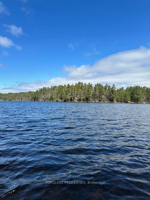 1 Island • Gravenhurst, ON photo 28