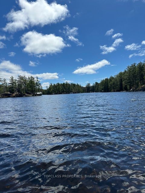 1 Island • Gravenhurst, ON photo 29