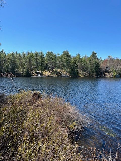 1 Island • Gravenhurst, ON photo 3