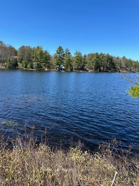 1 Island • Gravenhurst, ON photo 32