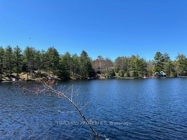 1 Island • Gravenhurst, ON photo 5