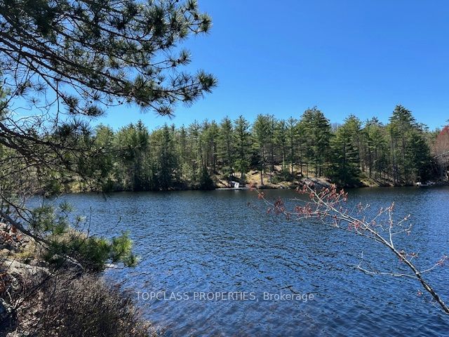 1 Island • Gravenhurst, ON photo 6