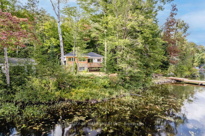 1046 Pine Lake Shores Rd, Bracebridge -  image-0-0