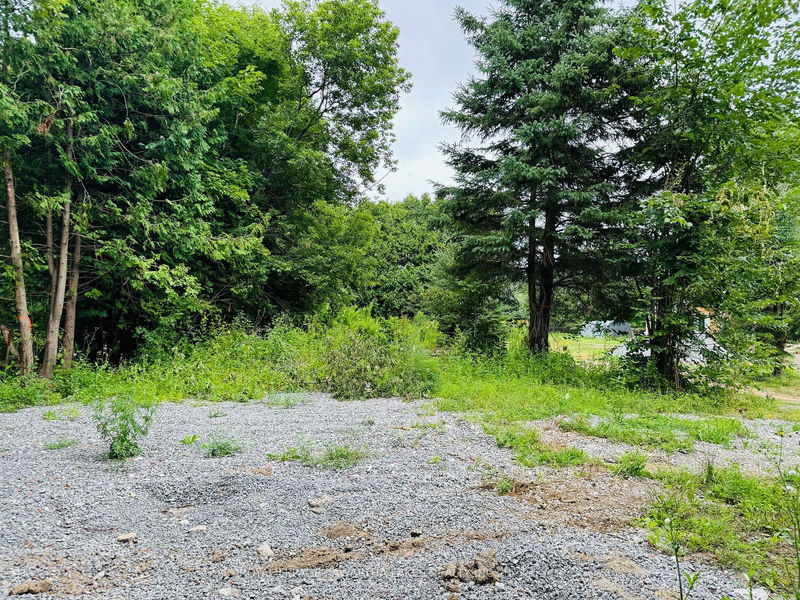 Lot 34 Cockburn St  Kawartha Lakes, K0M 2L0 | Image 3