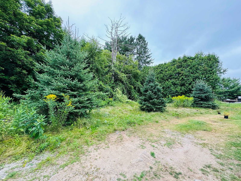 Lot 34 Cockburn St  Kawartha Lakes, K0M 2L0 | Image 9