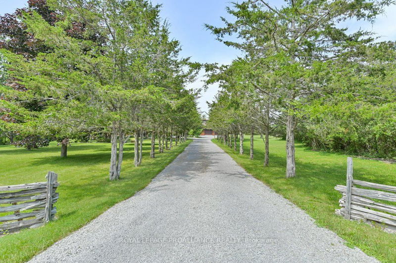 1156 Christian Rd  Prince Edward County, K0K 1G0 | Image 2