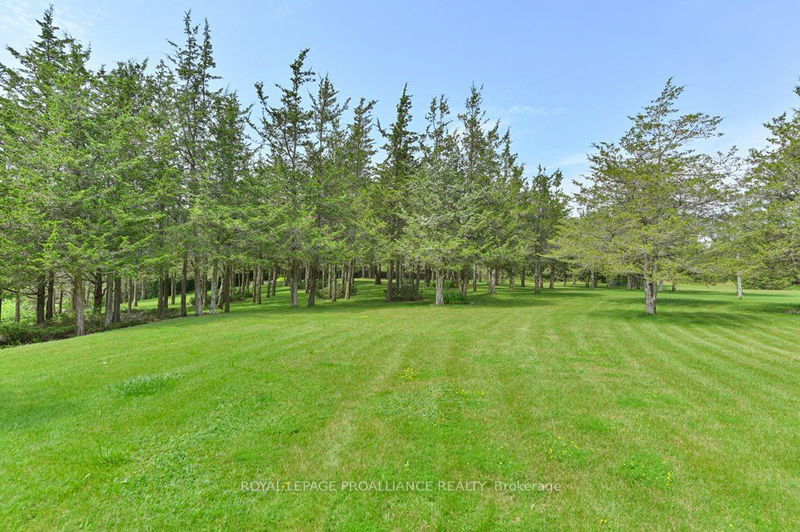 1156 Christian Rd  Prince Edward County, K0K 1G0 | Image 34