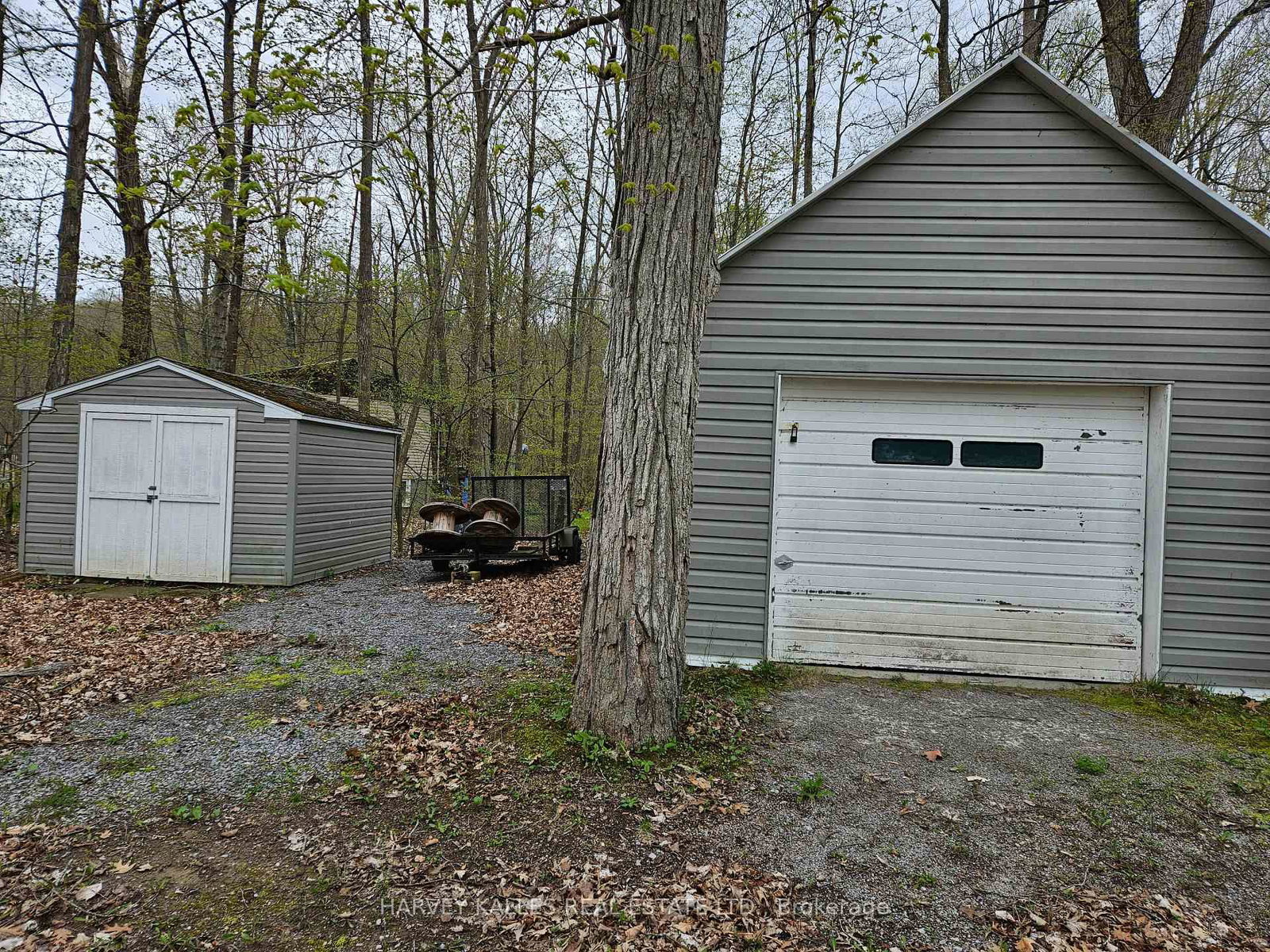 Listing Image 7