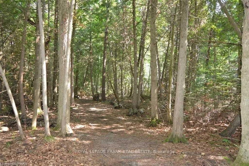 0 Hall Dr, Trent Lakes, K0L 1J0 | Image 2