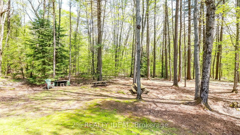 3711 Brunel Rd  Lake of Bays, P0B 1A0 | Image 7