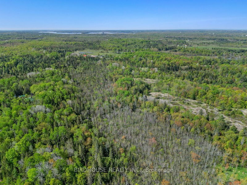 189 Dartmoor Rd  Kawartha Lakes, L0K 1W0 | Image 36