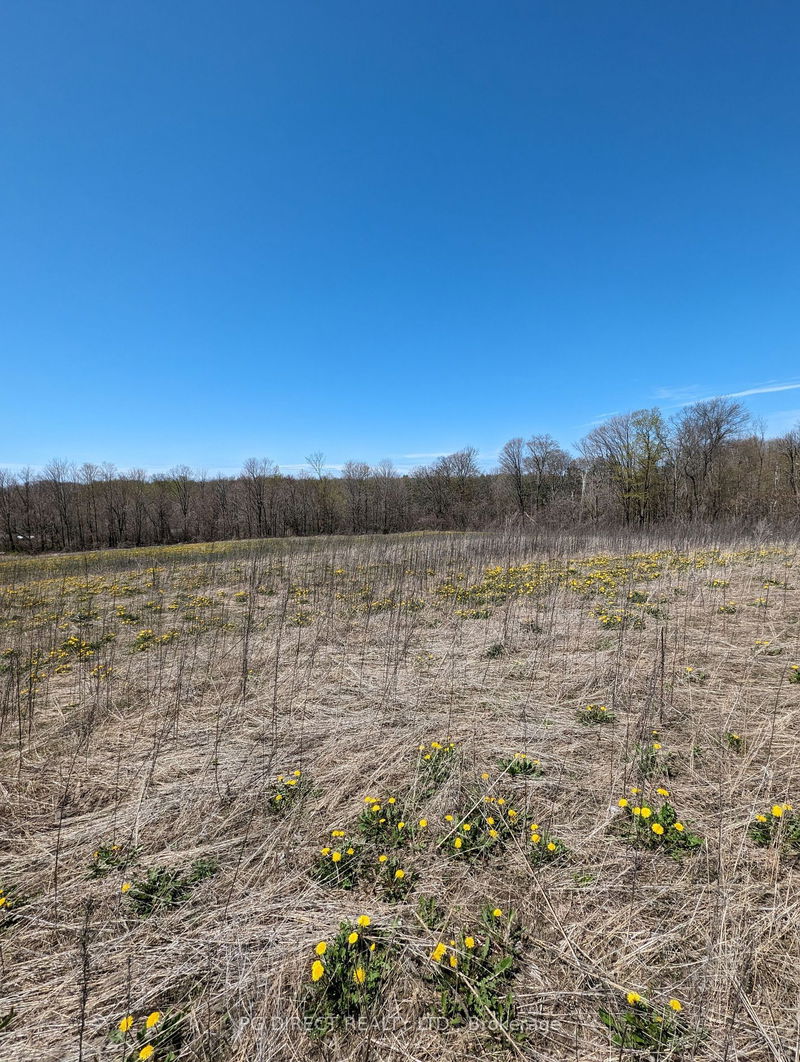 home for sale on 254 Long Reach Road