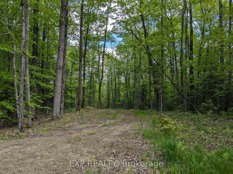 0 Gelert Rd, Minden Hills, K0M 2K0 | Image 2