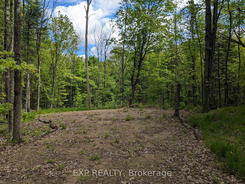 0 Gelert Rd, Minden Hills, K0M 2K0 | Image 3