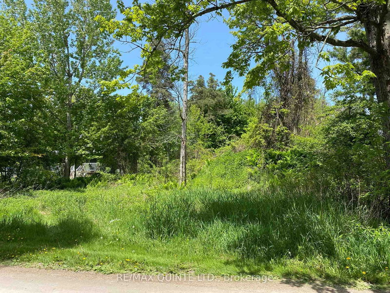 149 Evergreen Lane, Brighton, K0K 1H0 | Image 3