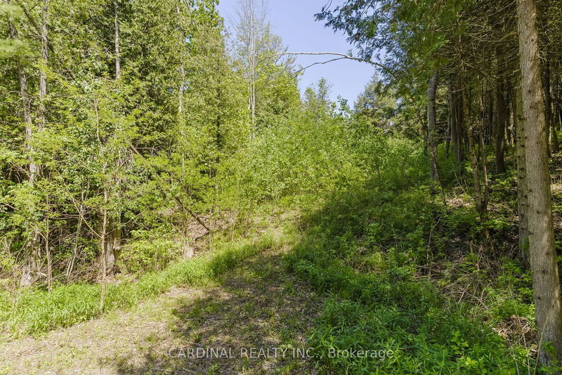 0 Dale Rd  Cobourg, K9A 4J9 | Image 9