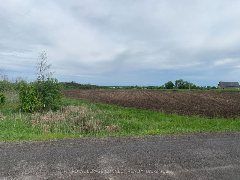 208 Drive In Rd  Greater Napanee, K7R 3L1 | Image 4