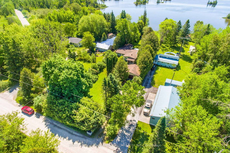 159 Mcguire Beach Rd, Kawartha Lakes, K0M 2B0 | Image 3