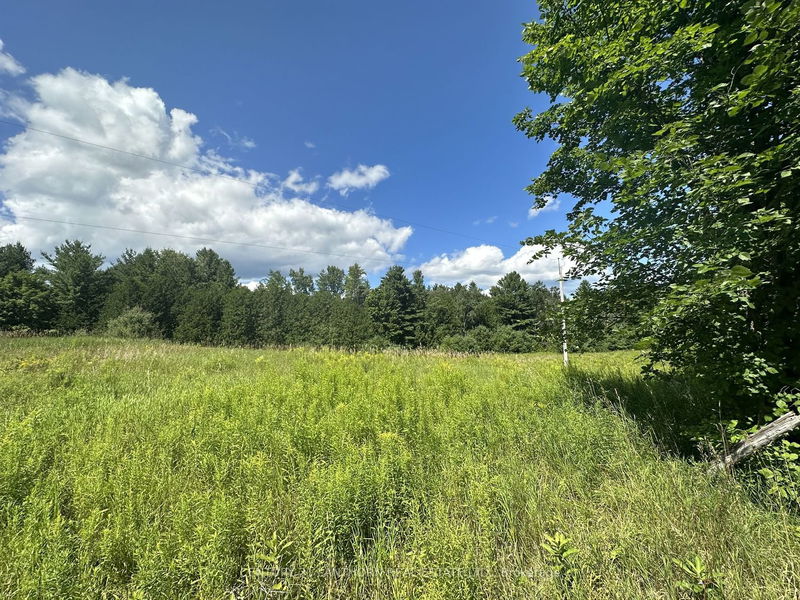 0 Scotch Settlement Rd N Madoc, K0K 2K0 | Image 25