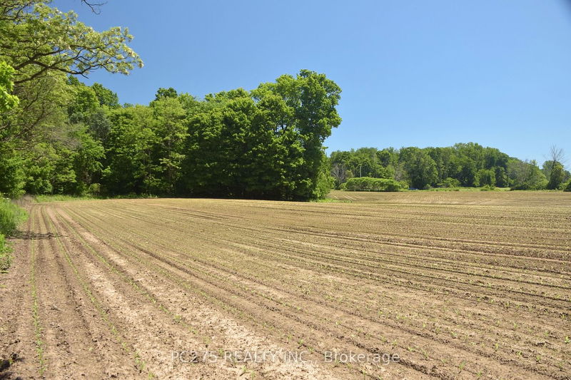 home for sale on 54067 MCQUIGGAN Line
