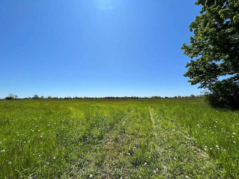 home for sale on 111 Carter Road