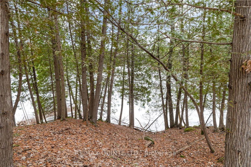 271 30 Island Lake Lane  South Frontenac, L4A 3G7 | Image 27