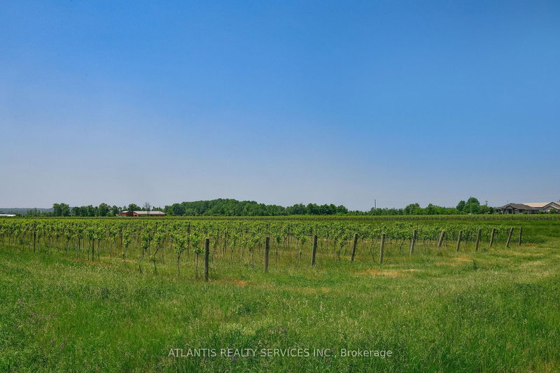 497 Line 5 Rd S, Niagara-on-the-Lake, L0S 1T0 | Image 2